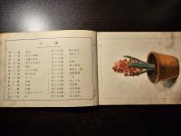 尋常小學圖画 : 第6學年 男兒用