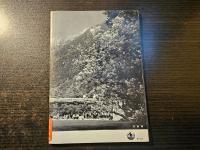 上高地