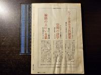 現代詩手帖 ユーモアの構造