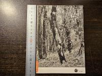 日本の森林