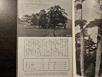 日本の森林