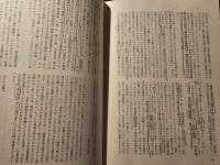 詩と思想 現代の詩学