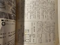 詩と思想 現代の詩学