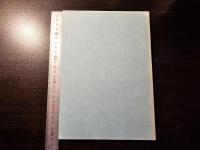オセアニアの言語と文化の総合的研究 共同研究プロジェクト報告 1