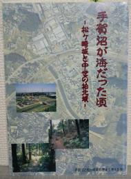 手賀沼が海だった頃 : 松ヶ崎城と中世の柏北域
