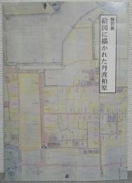 絵図に描かれた丹波柏原 : 特別展