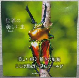 世界の美しい虫