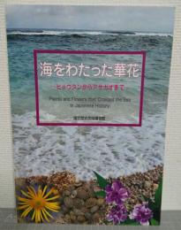 海をわたった華花 : ヒョウタンからアサガオまで