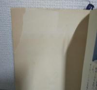 売春風俗史