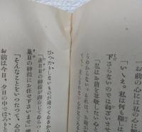 古事記創作　石長媛　（石長姫）