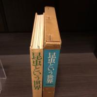 昆虫という世界