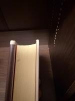 競争の社会的構造 : 構造的空隙の理論