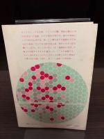 抽象的社会 : 現代の文化分析