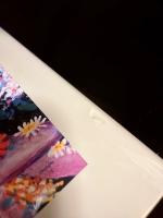 インド民俗芸能誌