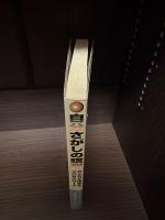 自分さがしの瞑想 : ひとりで始めるプロセスワーク