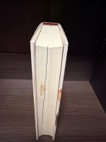 駄菓子屋楽校 : 小さな店の大きな話・子どもがひらく未来学