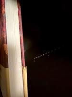 マンゴーの木 : 伝説の魔法使いをめぐる運命の輪