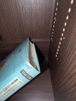 池袋のアジア系外国人 : 回路を閉じた日本型都市でなく