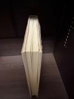 死の衝動と不死の欲望 : 脳死・自殺・臨死の思想