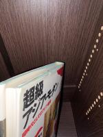 超級アジア・モダン : 同時代としてのアジア建築