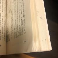 有閑階級の理論