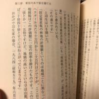森林ニッポン