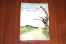 ひめゆりの塔　著者署名