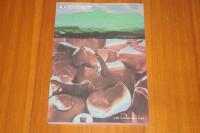 高麗青磁の誕生 : 初期高麗青磁とその展開