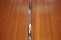 Grab The Brass Ring: The American Carousel