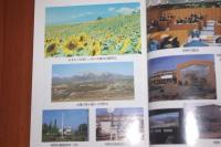 新装　明野村誌　本誌編　資料編　石造物編揃い