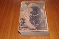 獨英和三対字彙大全