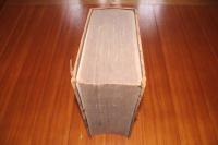 獨英和三対字彙大全