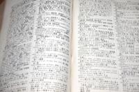 獨英和三対字彙大全