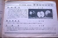 1936－1937　果樹苗木カタログ　山形県