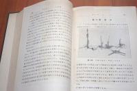 実験　リンゴの研究