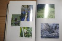 大和村誌　上下巻　山梨県