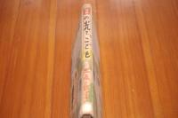 日の光とこども