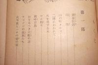 大アマゾンの秘境  「ハーンドンのアマゾン渓谷の探検」による ＜少年少女のための世界科学探検文庫8＞