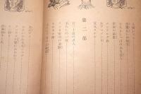 大アマゾンの秘境  「ハーンドンのアマゾン渓谷の探検」による ＜少年少女のための世界科学探検文庫8＞