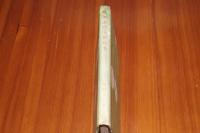 雲の上の子供たち