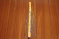 かえるの一年生 ＜ペインティング童話シリーズ＞