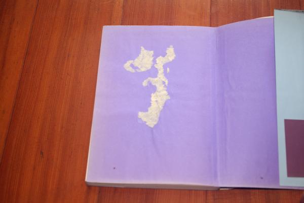 織田美織 サイン付き写真集 新品未開封 創芸社 入手困難 希少品 Amazon.co.jp: 織田美織 サイン付き 写真集 未開封 創芸社 入手