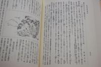 甲斐志料集成復刻版　全8巻揃い