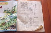 さくらんぼ　昭和23年9月号　
