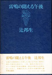 雷鳴の聞える午後 -連作短篇 ある生涯の七つの場所３-