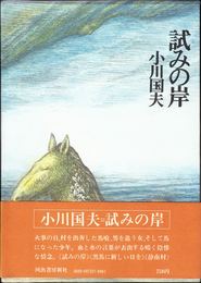 試みの岸