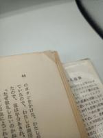 目にみえぬ旗－ある従軍外科医の記録ー