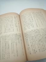 寂しい夜の出来事（ミッキー・スピレーン選集２）