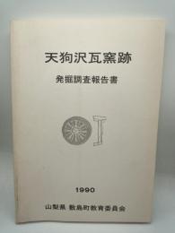 天狗沢瓦窯跡発掘調査報告書