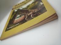 
HAND-HEWN THE ART OF BUILDING YOUR OWN  LOG HOME